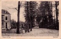 123. Groet uit Epe - Weertspark - 1925